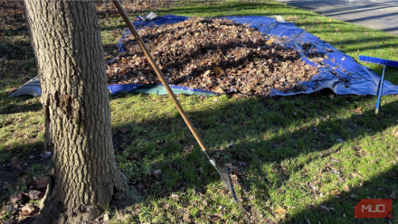 Raking leaves is miserable until you try this one simple trick