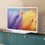 Hisense S5 DécoTV Series